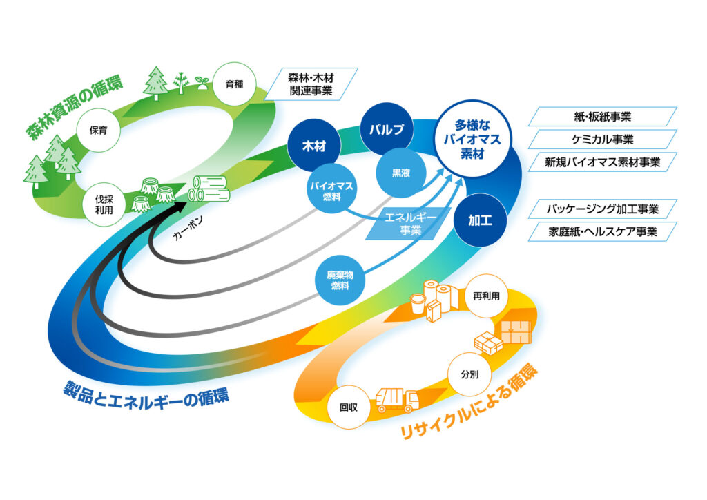 日本製紙グループが掲げる「森林資源の循環」「製品とエネルギーの循環」「リサイクルによる循環」をイラストによって示した図