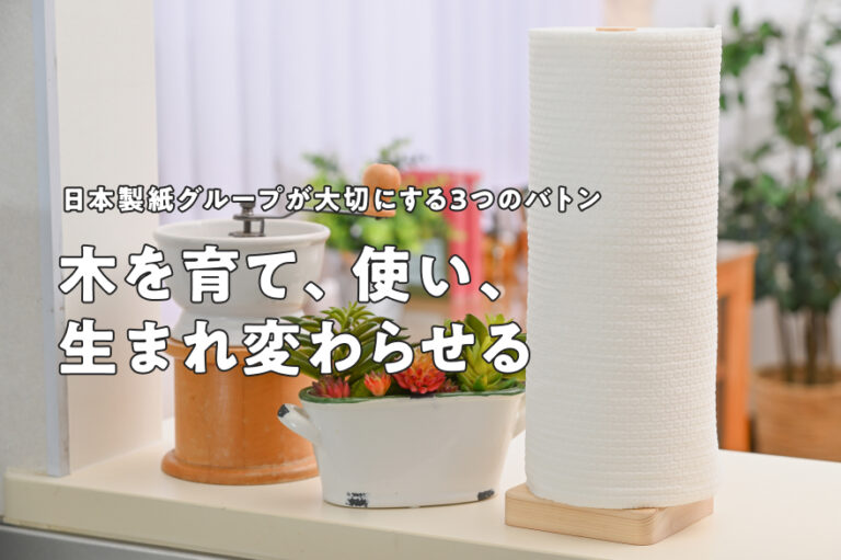 キッチン内で紙製品が存在している様子
