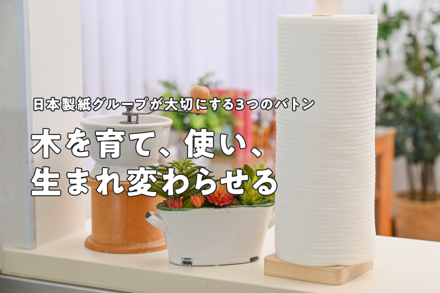 キッチン内で紙製品が存在している様子