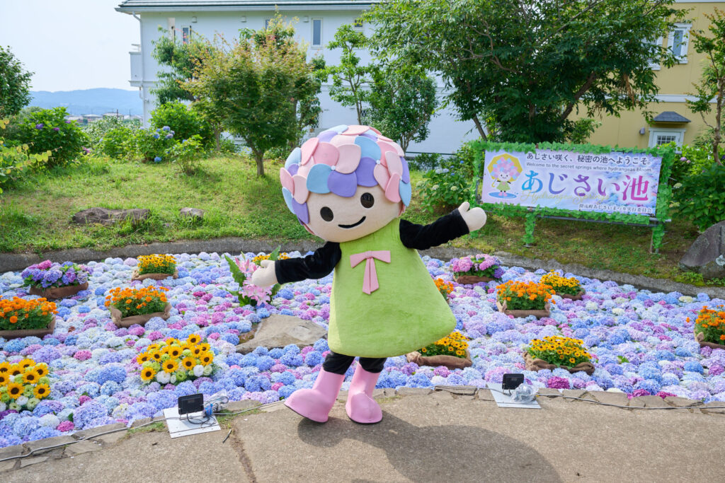 あじさいちゃんがあじさいまつりで写真スポットになるあじさい池でポーズをしている様子