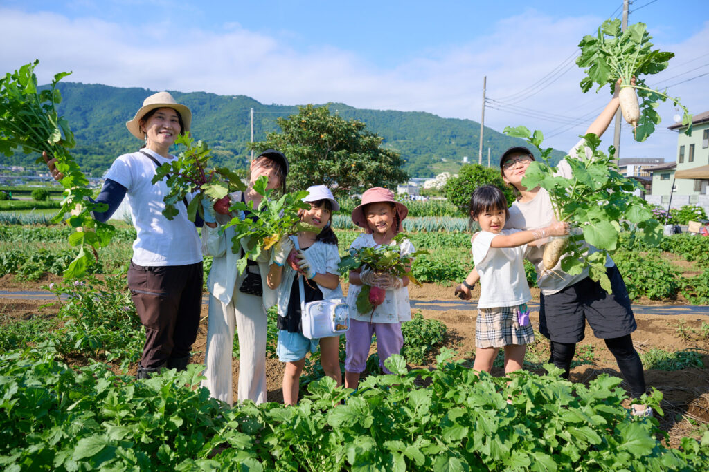 開成町あじさいまつりのイベントの一環としてお子さま連れのご家族が野菜収穫体験をしている様子